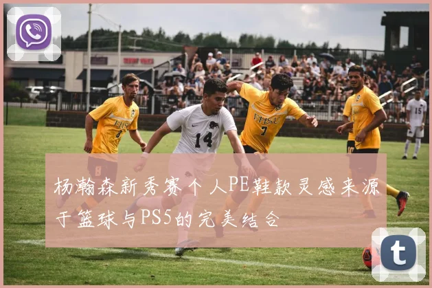 杨瀚森新秀赛个人PE鞋款灵感来源于篮球与PS5的完美结合