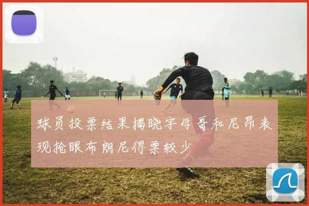 球员投票结果揭晓字母哥和尼昂表现抢眼布朗尼得票较少